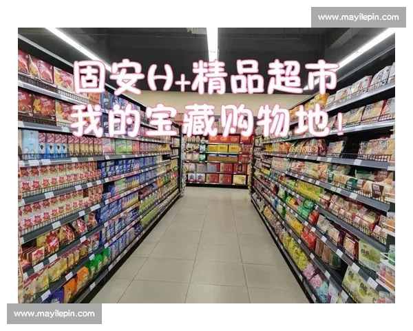 全新体验尽在掌握，让每一次选择都充满惊喜与价值