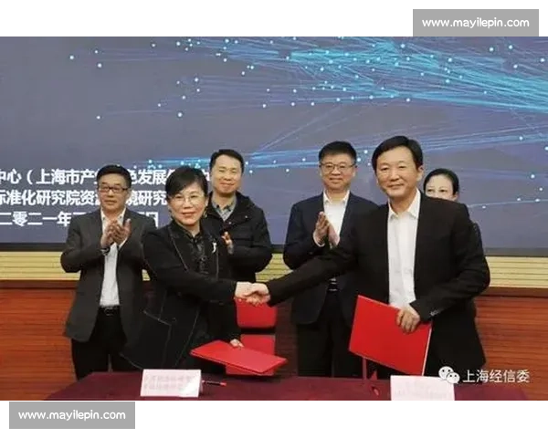 国家标准引领行业发展与技术创新的实施路径研究